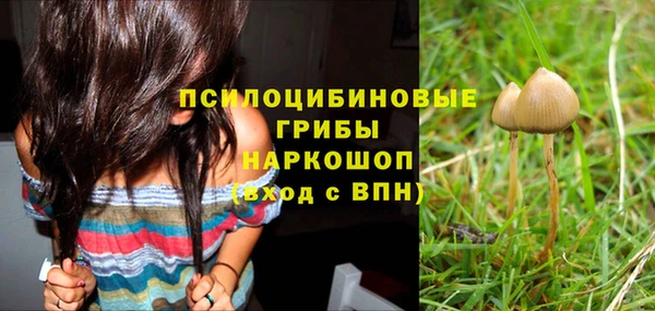 каннабис Арсеньев