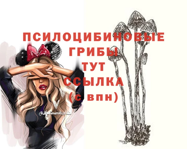 каннабис Арсеньев